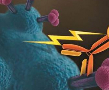 Ilustração mostra como a pesquisa utiliza a radioimunoterapia para matar as células com vírus larentes de HIV Sociedade Radiológica da América do Norte 