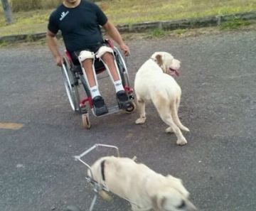 Atleta paralímpico Marcondis Nascimento brinca com cadela Vicky e outro cão no DF 
