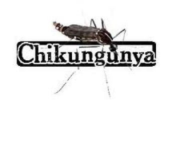 Febre do chikungunya