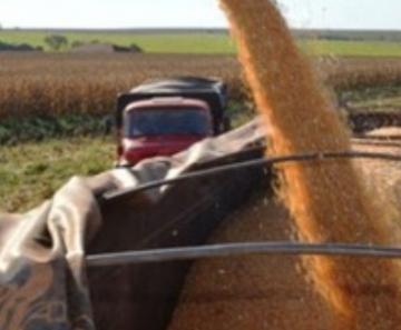 Recurso de R$ 500 milhões atenderá cerca de 10 milhões de toneladas de milho no país