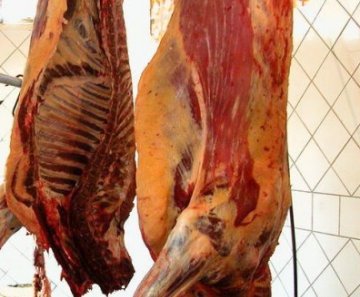 Abate não fiscalizado foi estimado em 7,6% do total de animais abatidos para atender à demanda por carne no país