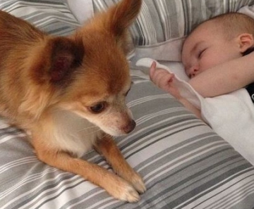Ana Hickmann posta foto do filho com a cadela Ramona 
