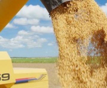 Comercialização de soja de Mato Grosso no mercado futuro está 25,4 pontos percentuais atrasada até setembro 