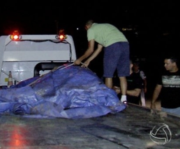 Égua da PM morreu após levar um choque em gramado perto da Arena Pantanal. 
