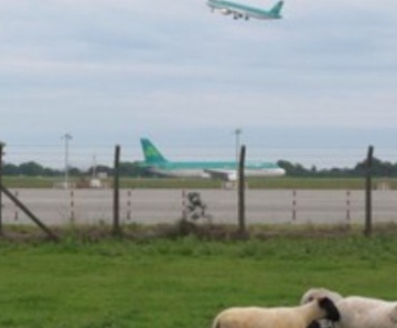 Aer Lingus 