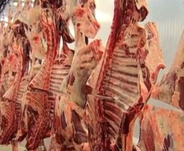 Frigorífico de abate de bovinos em Mato Grosso do Sul