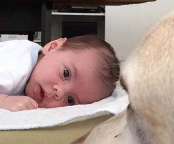 Luisa Mell posta foto do filho Enzo com o cachorro Marley 
