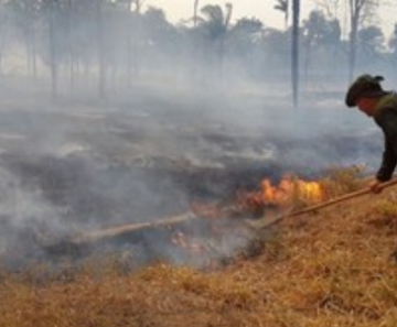 Policiais ambientais da Cipa atuam no combate à incêndios 