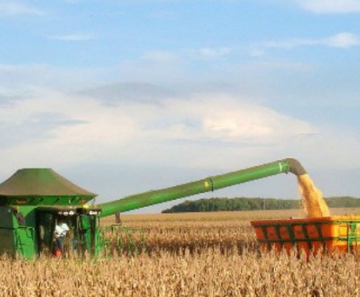 Colheita do milho safrinha em Mato Grosso do Sul