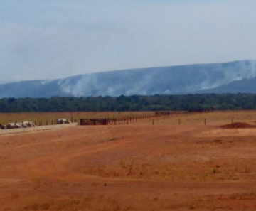 Incêndio no Parque Estadual Serra de Ricardo Franco 