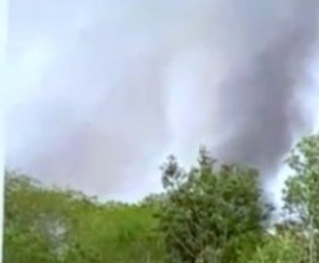 Incêndio atinge região de mata em Cuiabá.