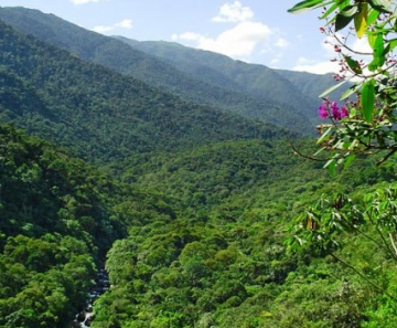 Amazônia ganha 230 mil hectares de áreas protegidas