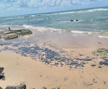 anchas no Nordeste Mais de 22 toneladas de óleo são retiradas das praias de Salvador