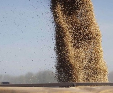 Brasil deverá produzir mais 123 milhões de toneladas de soja — Foto: Enrique Marcarian/Reuters