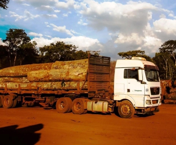 caminhão madeiras