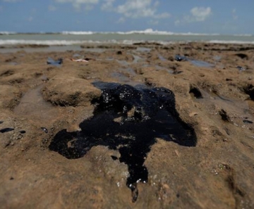 Capes vai liberar R$ 1,3 milhão para pesquisas sobre manchas de óleo