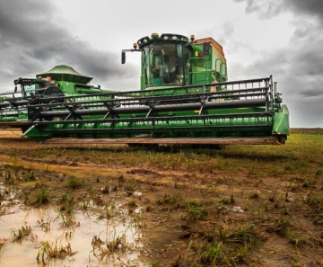 Com lavouras alagadas e soja úmida, produtores de Mato Grosso torcem para que tempo fique seco, favorecendo a colheita e para não perder a produtividade e a qualidade no grão