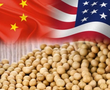 Guerra comercial entre EUA x China aumenta preço da soja para brasileiros. - Foto: Reprodução