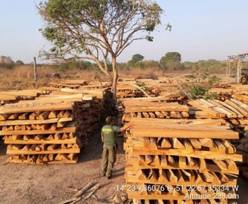 Ibama flagra madeira ilegal e aplica R$ 4,7 milhões em multas em 20 fazendas em MT
