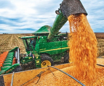 Imea aponta que colheita do milho se encerrou no Mato Grosso - Foto: Divulgação
