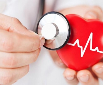 Mais de 289 mil pessoas morreram de doenças cardiovasculares em 2019
