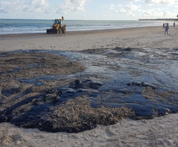 Mancha de óleo surgiu  na Lagoa do Pau, em Coruripe, Alagoas
