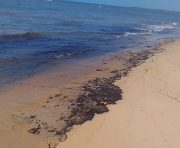 Manchas de óleo no litoral atingem mais de 500 locais no Nordeste e Sudeste
