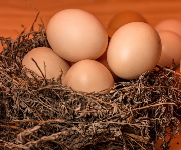 Os ovos têm vários atributos a seu favor: estão amplamente disponíveis, são acessíveis, fáceis de cozinhar e cheios de proteínas. - Foto: Pixabay