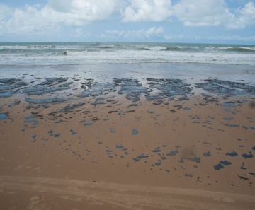 Petrobras recolhe mais de 133 toneladas de resíduo oleoso de praias - Foto: Adema/Governo de Sergipe
