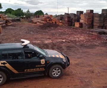 Polícia Federal faz Operação Madeira Nativa em Feliz Natal (MT) — Foto: Polícia Federal de Mato Grosso/Assessoria