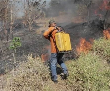 Ricardo Salles sobrevoou áreas atingidas pelas chamas em Mato Grosso - Foto: Divulgação