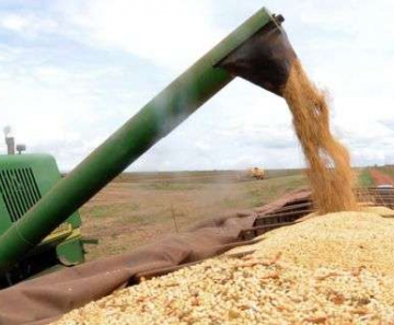 Safra de cereais, leguminosas e oleaginosas deste ano deve ser 3,1% maior que a produção de 2018    (Arquivo/Agência Brasil)