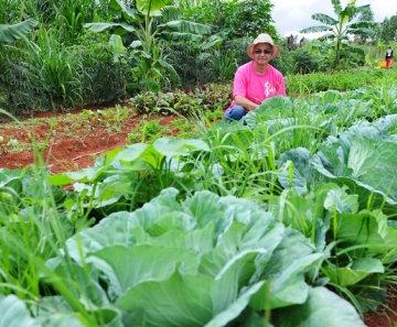 Segundo a ONU, cerca de uma em cada três mulheres com emprego no mundo trabalha no setor da agricultura — Foto: Dênio Simões/Agência Brasília