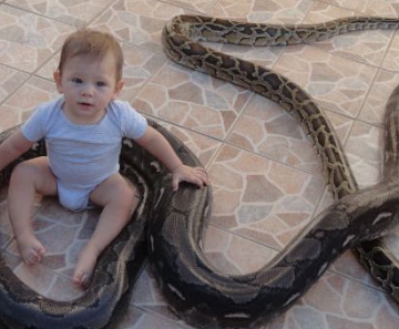 Filho do promotor de eventos Renato brinca com animais