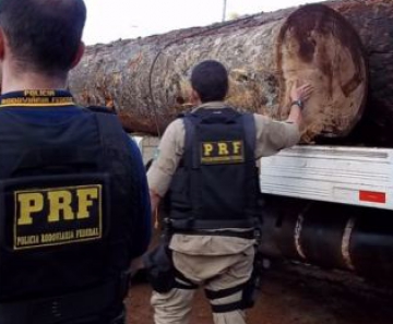 Carga de madeira em caminhão apreendido pela PRF