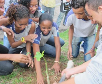 Alunos da Escola Theophilo de Souza Pinto plantam a muda de favela 
