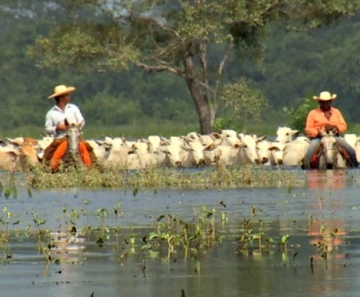 Enchente no Pantanal 