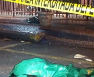 Cães ficaram na calçada por 3 horas até o fim do trabalho dos peritos 