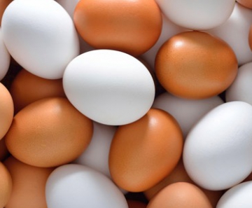 ovos