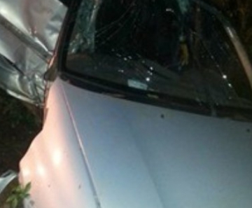 Carro bateu em árvore no domingo (31)