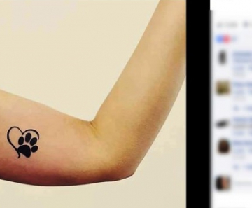 Alimentos arrecadados em troca de tatuagens serão doados a três entidades filantrópicas