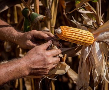 51235745692_41f3a44205_c