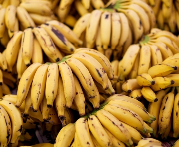 a_banana_e_seus_beneficios_a_saude