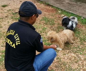 Animais de universitário foram resgatados em Cuiabá — Foto: Polícia Civil/Divulgação