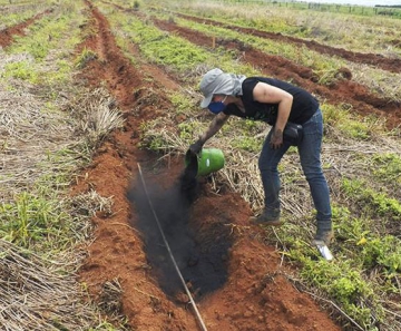 Biocarvão pode ser usado para recuperar solo degradado, indica estudo