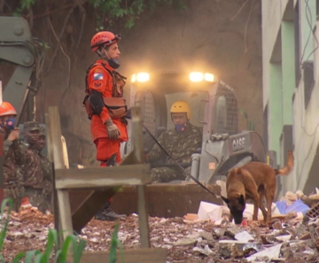 Cães farejam área de escombros na Muzema — Foto: Reprodução/TV Globo