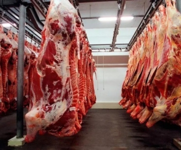 carne_exportacao