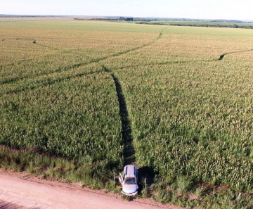 Carro Éder