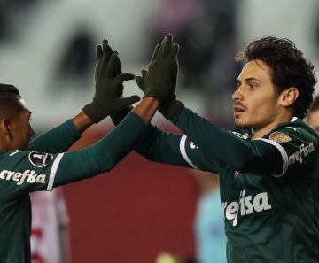 © Cesar Greco/Palmeiras