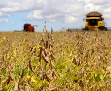 Com safra recorde e exportações, produção agropecuária deve subir 15% em 2020, diz CNA
